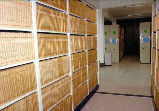 草莓视频在线免费下载,檔案信息管理
