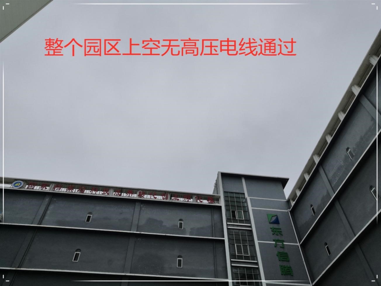 黄色网站APP草莓公司
